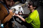 Ein Junge mit Blindenstock lässt sich einen weissen Schäfer zeigen. Er streckt die Hand zu seiner Nase. Der Hund schnüffelt daran.