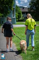 Ein Mädchen geht mit einem Goldendoodle spazieren.